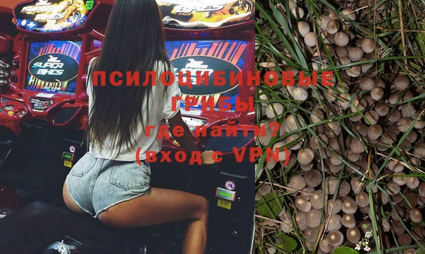 молекула духа Всеволожск