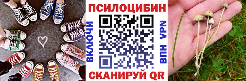Галлюциногенные грибы GOLDEN TEACHER  наркотики  Духовщина 